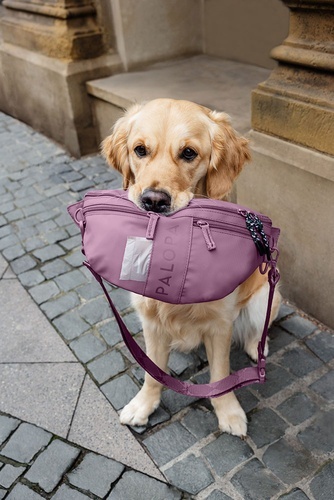 PALOPA Torebka nerka na smakołyki dla psa Emma berry