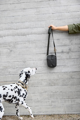 PALOPA Torebka saszetka na smakołyki dla psa Greta black L