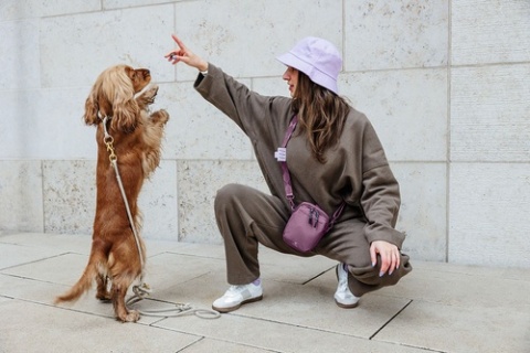 PALOPA Torebka saszetka na smakołyki dla psa Greta berry L