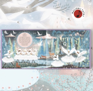 Muzyczne opowieści Api Papi Jezioro Łabędzie