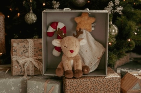 Świąteczny Zestaw Prezentowy Little Dutch X-MAS przód opakowania