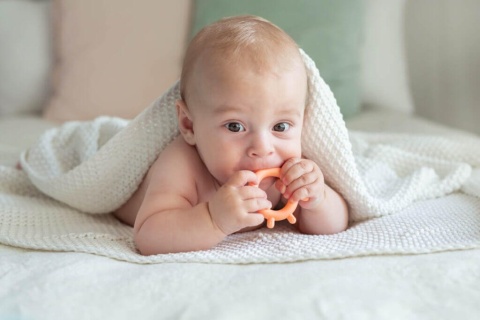 Brzoskwiniowy Gryzak Kurczak GiliGums