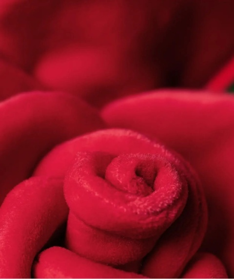 Pluszak Bukiet Kwiatów Jellycat róża