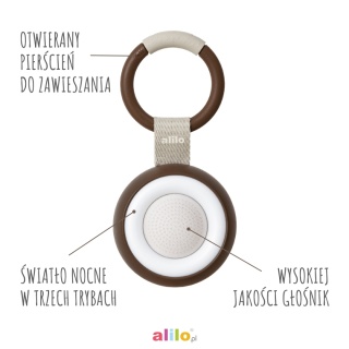 Odtwarzacz MP3 Alilo CocoNap W1 brązowy