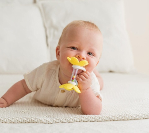 Grzechotka kwiatek GiliGums żółta w rączkach dziecka