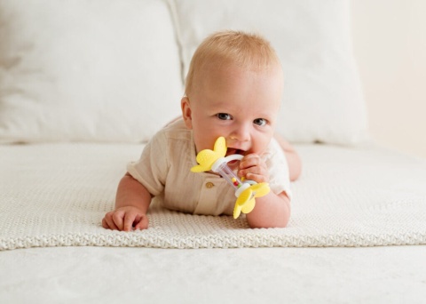 Grzechotka kwiatek GiliGums żółta