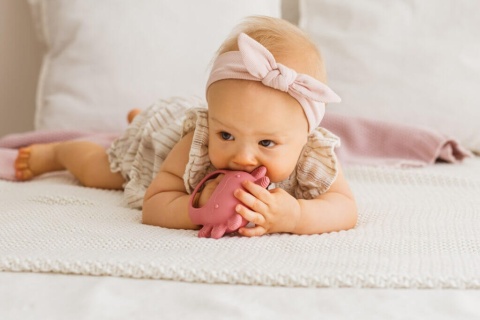 Różowy Gryzak Aksolotl GiliGums