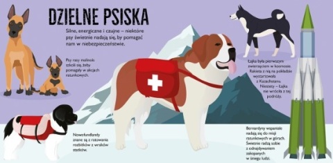 Książka Psy pop-up Jupi Jo
