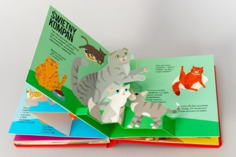 Książka Koty pop-up Jupi Jo 3d