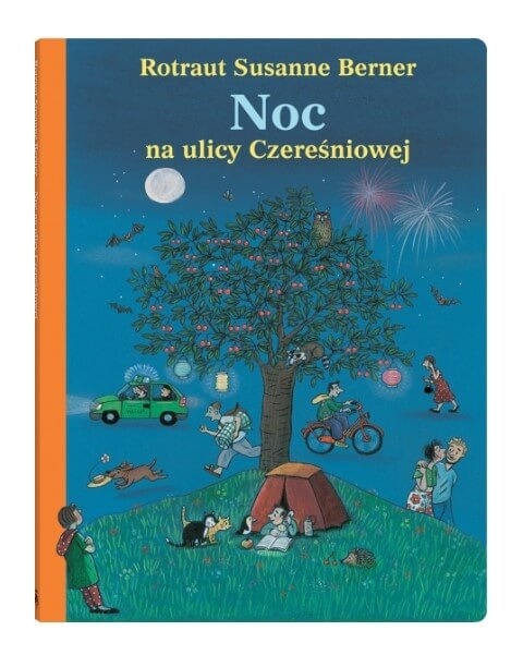 Książka Noc na ulicy Czereśniowej Dwie Siostry