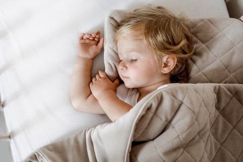 SLEEPEE Kocyk Welurowy Royal Baby Grey SLEEPEE Kocyk Welurowy Royal Baby Grey