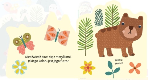 Książka A kuku! w lesie AWM ilustracje
