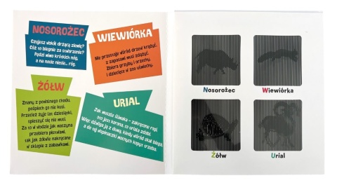 Książka z animacjami zwierząt Zoo! AWM wiewiórka