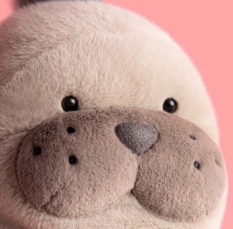 Przytulanka lew morski  Jellycat Roarwell