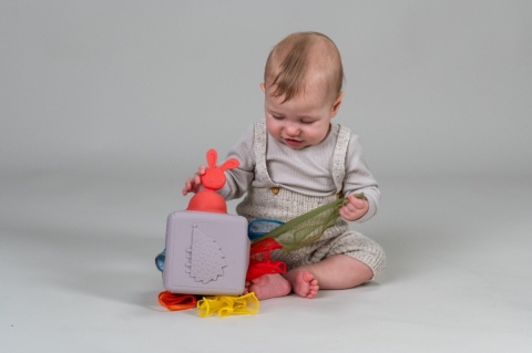 Pojemnik z wyskakującymi chusteczkami Taf Toys - gumowa zabawka