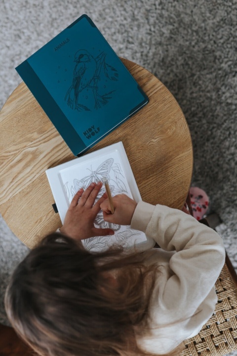 Tablet rysunkowy podświetlay Kidywolf Kidydraw PAD8 ANI  - zabawa