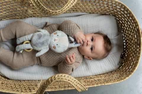 Muzyczny królik Rylee Taf Toys kojąca zabawka z melodią Brahmsa - do usypiania