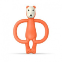 MATCHSTICK MONKEY Animals Bear Gryzak Masujący ze szczoteczką MATCHSTICK MONKEY Animals Bear Gryzak Masujący ze szczoteczką