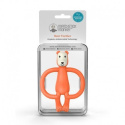 MATCHSTICK MONKEY Animals Bear Gryzak Masujący ze szczoteczką MATCHSTICK MONKEY Animals Bear Gryzak Masujący ze szczoteczką